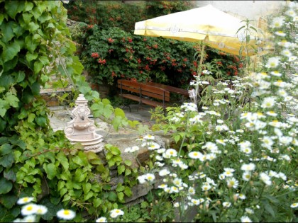 Фото: Beim Baron
